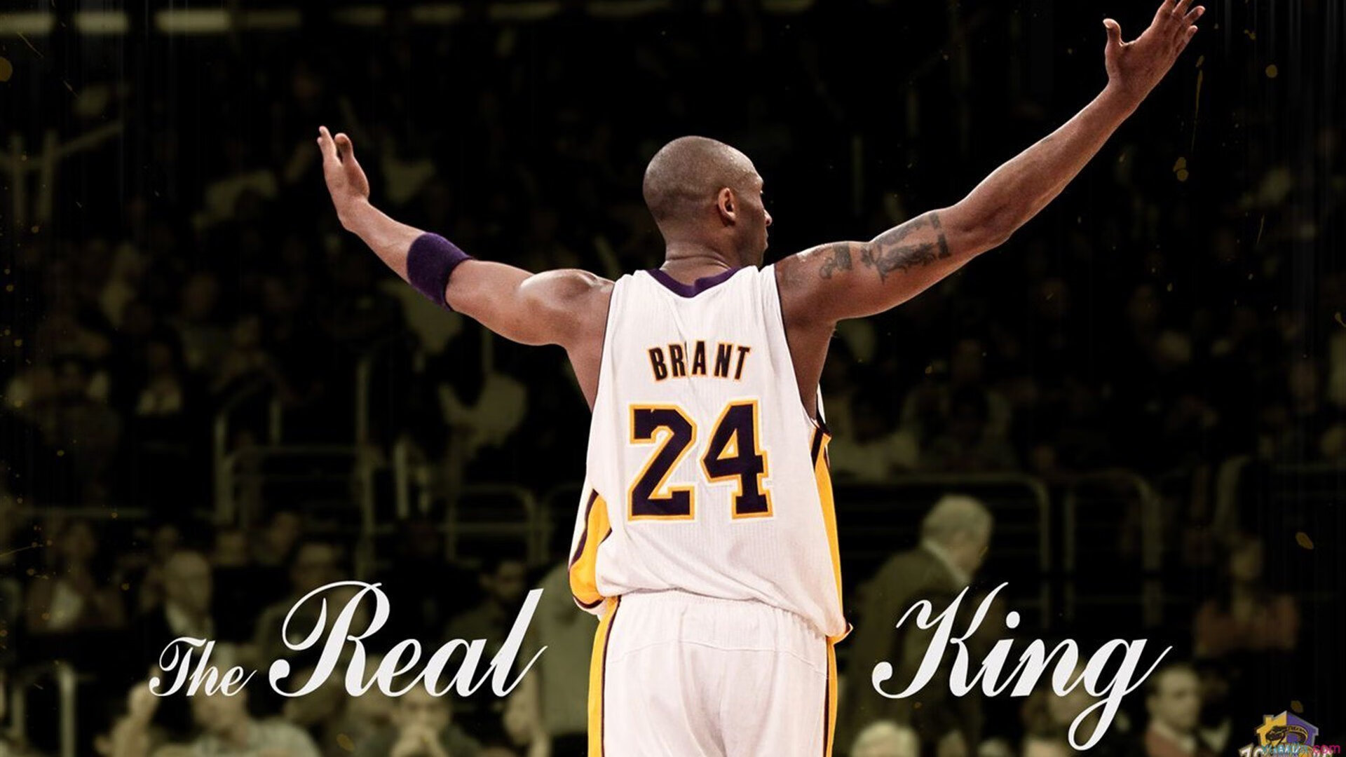 Ming赛事官方发布问鼎冠军新规，勇士争议不断！